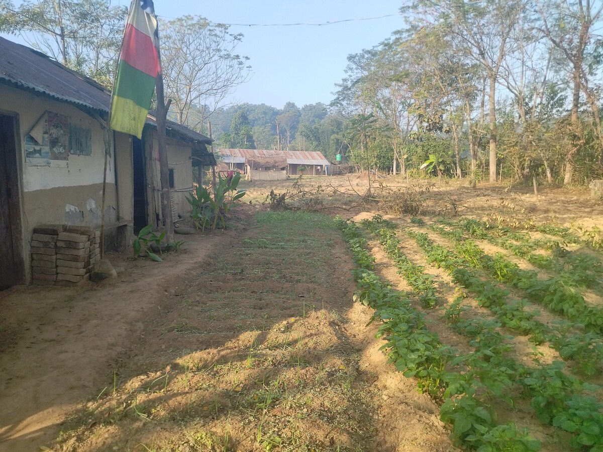 Bird Sanctuary Farm House — photo