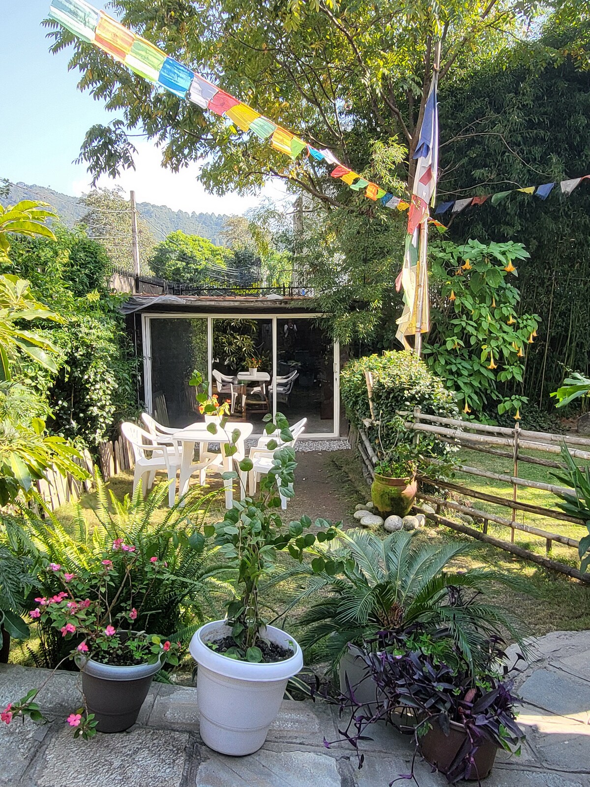 Extra Large Beautiful Room With Garden Views — photo