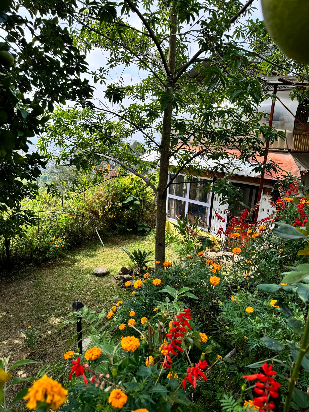 Eco-Friendly Mud House – Twin Room — photo