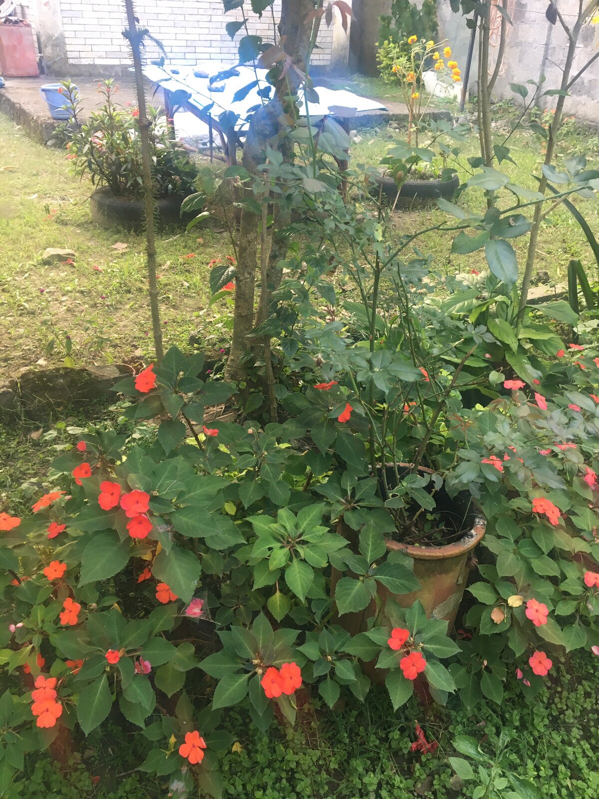 Tibetan Homestay with Breakfast &Dinner — photo