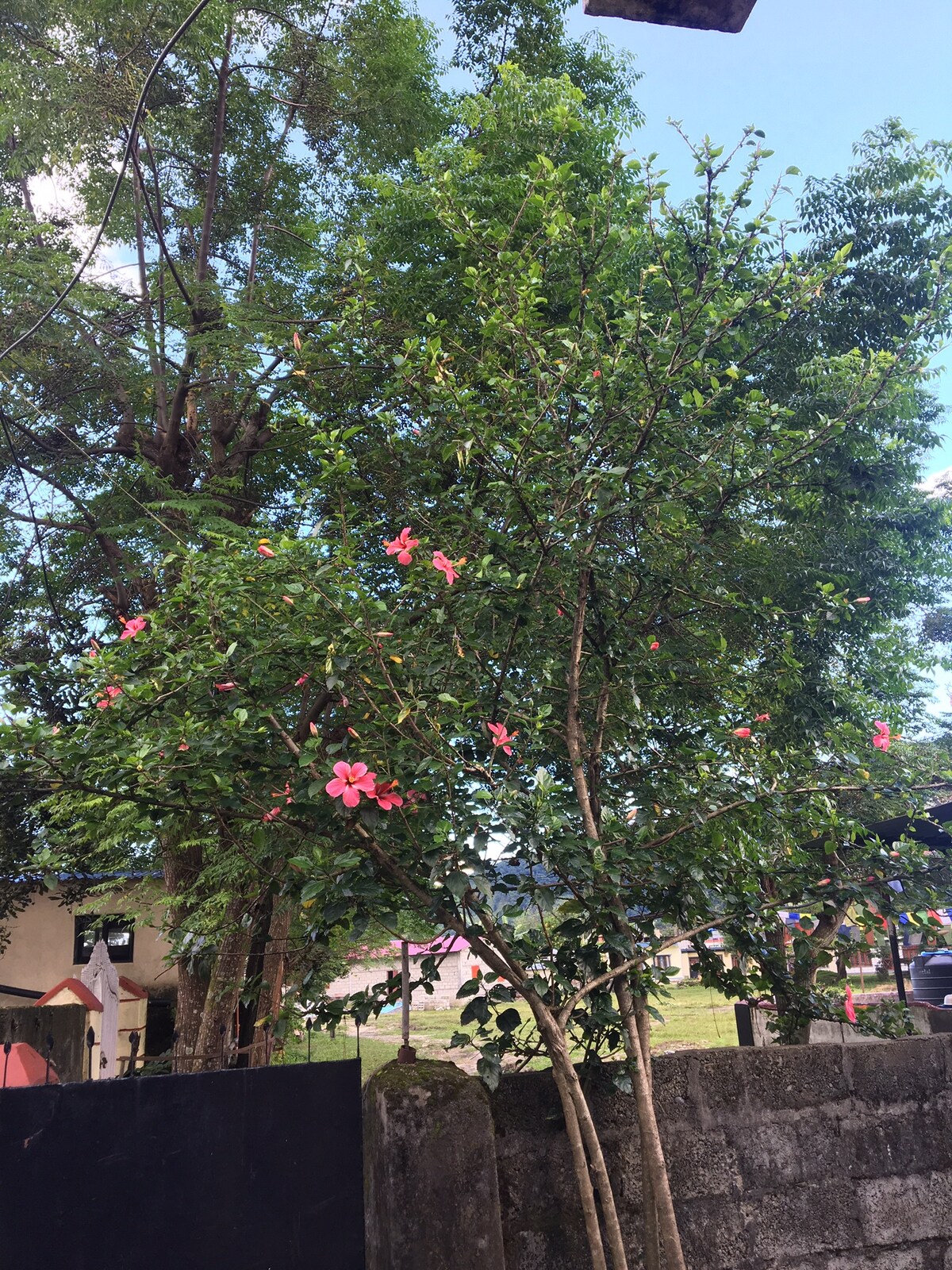 Tibetan Homestay with Breakfast &Dinner — photo