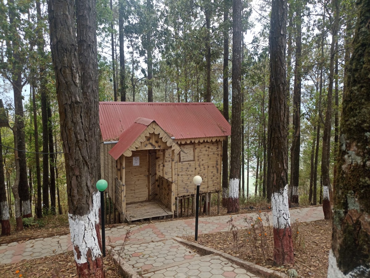 lovely Bamboo Resort in jungle