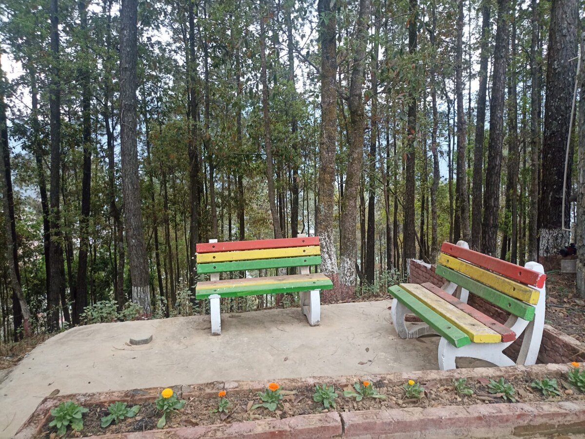 lovely Bamboo Resort in jungle — photo