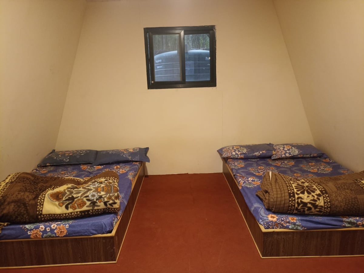 lovely Bamboo Resort in jungle — photo