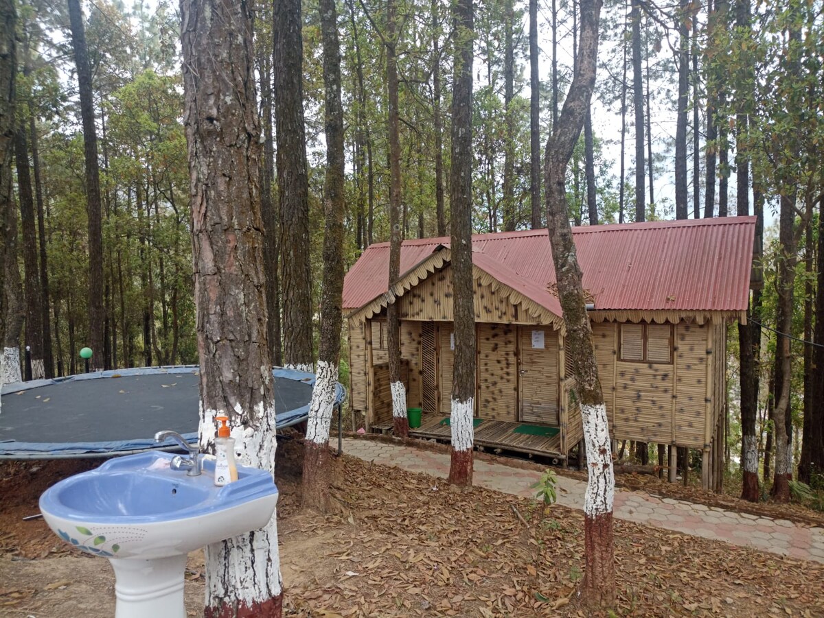 lovely Bamboo Resort in jungle — photo