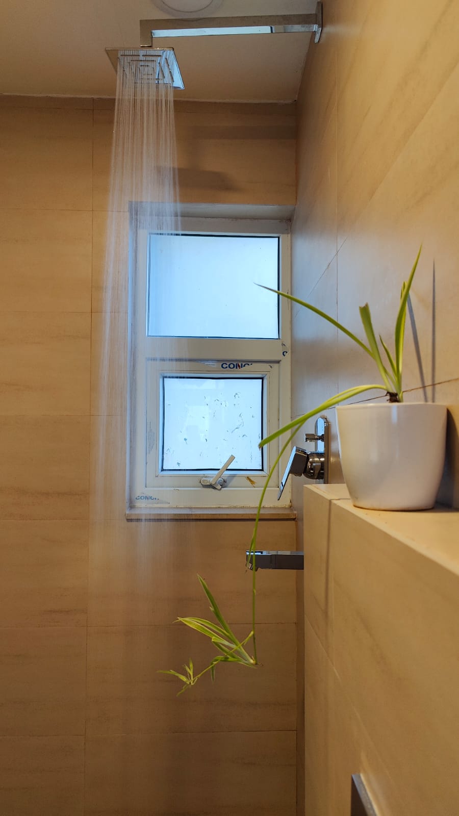 3BHK Apartment — photo