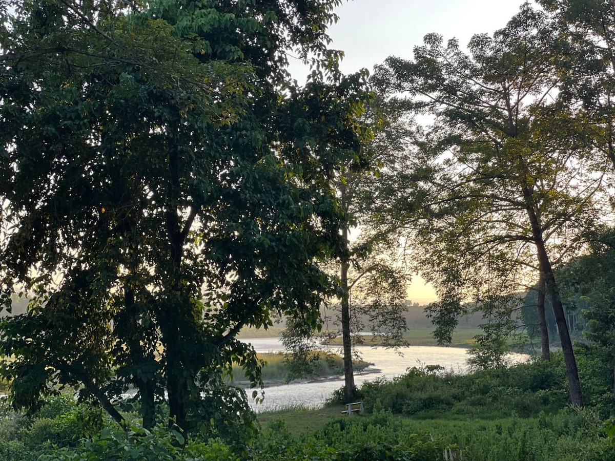 Enjoy Jungle River view and Deers from your bed. — photo