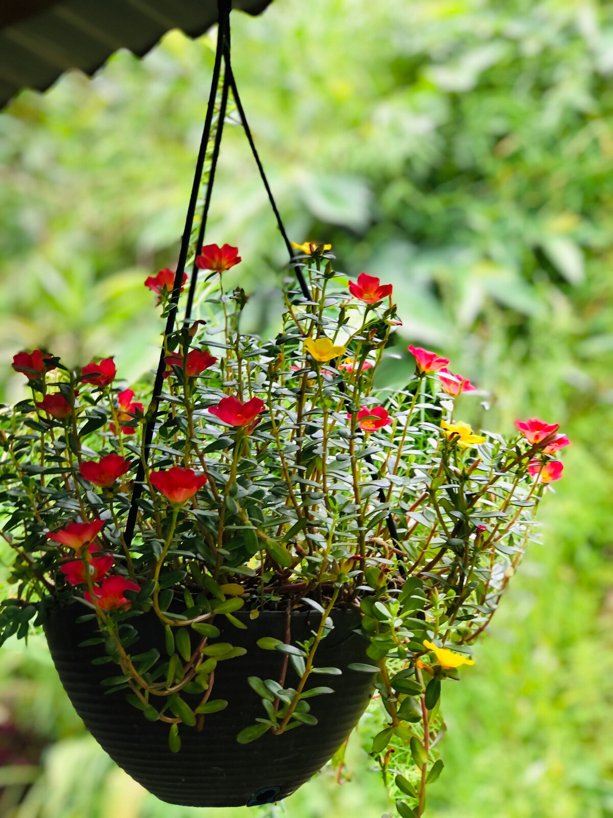 Peaceful forest cabin at Into the Wild Pokhara — photo