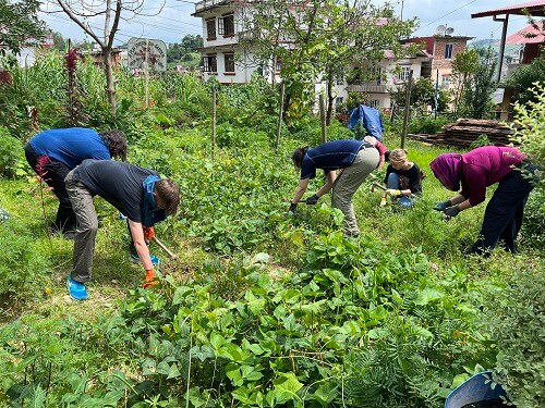 Local Experience: Nature, Culture & Volunteering — photo