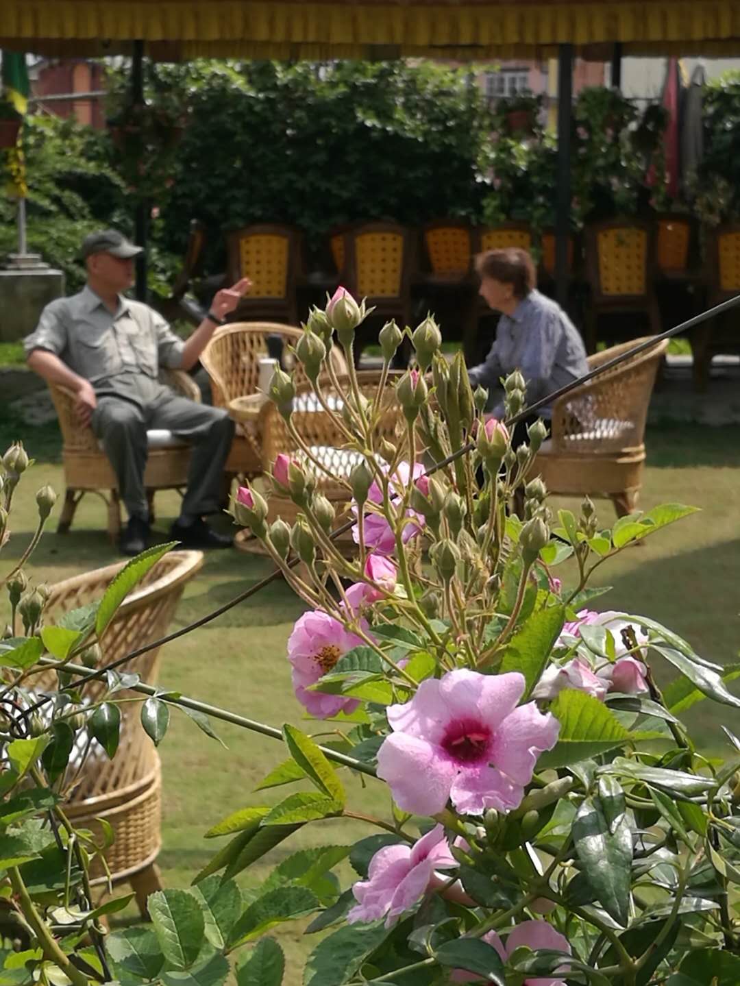 Rose Garden Hotel 玫瑰花园私家酒店 — photo