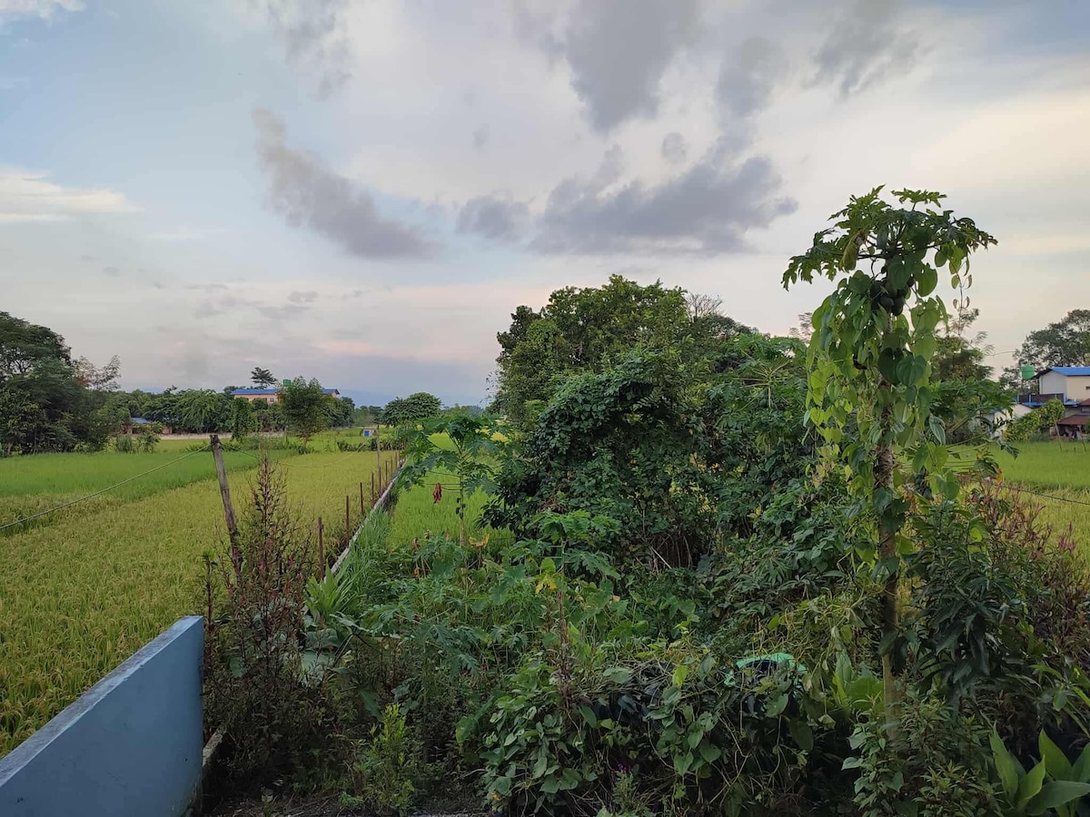 Cozy Stay At Heart of Chitwan National Park — photo