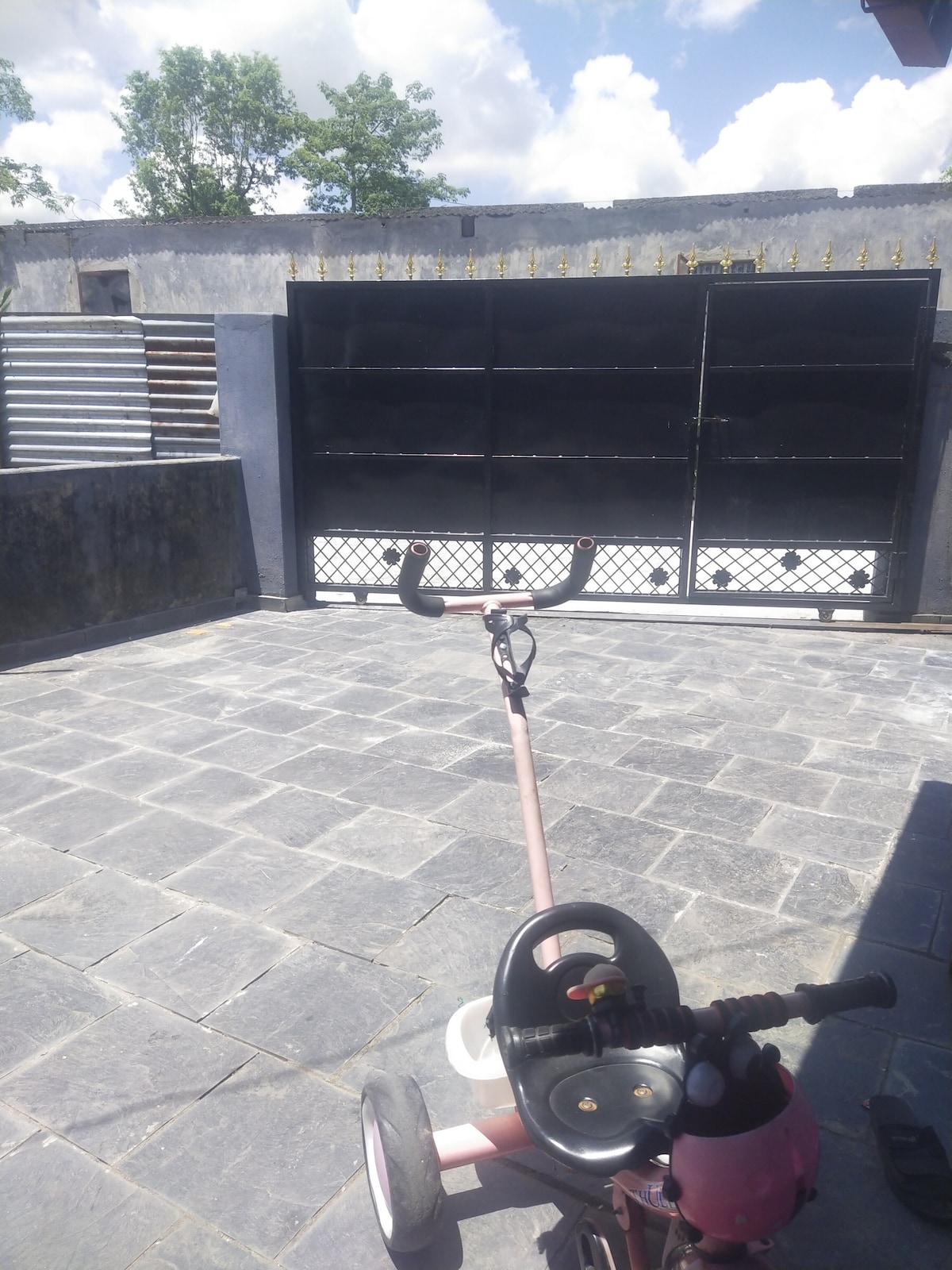 cheap and best — photo