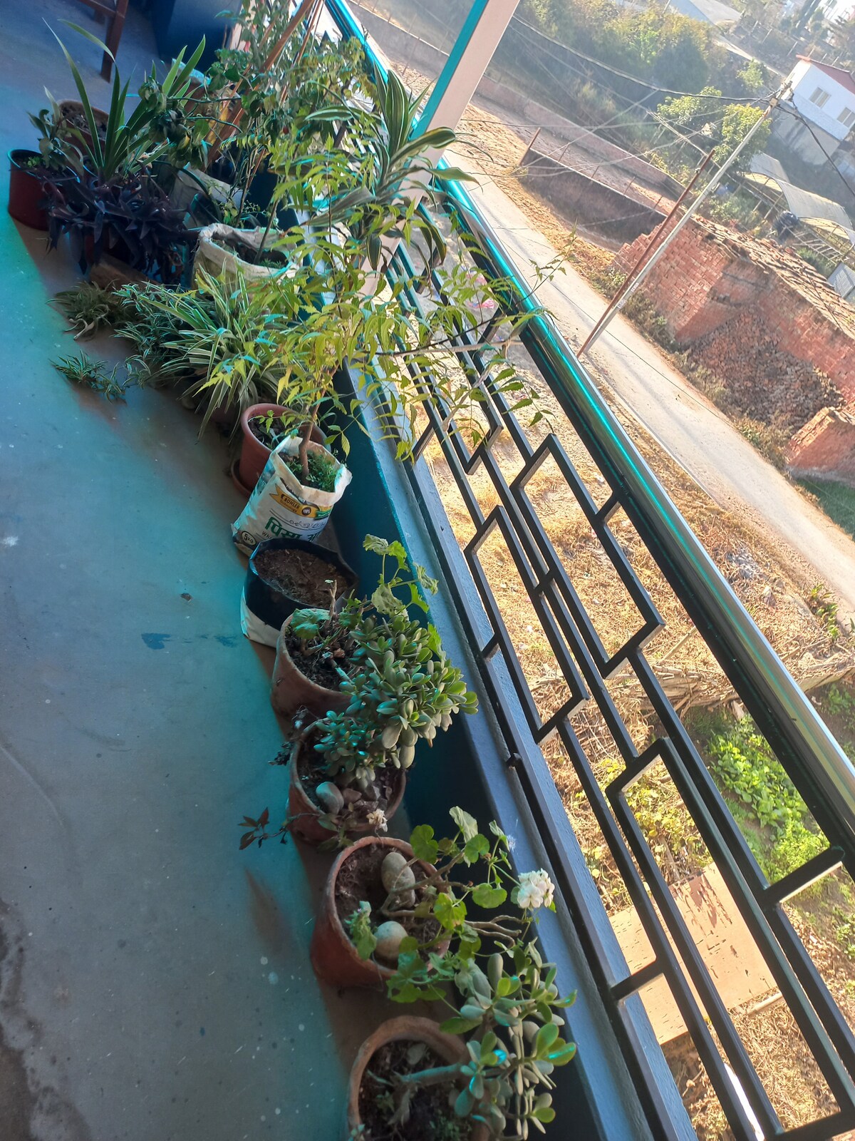 Healthy home made food service — photo