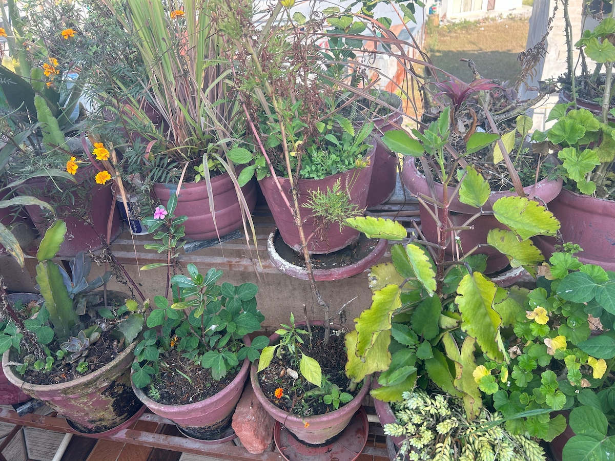 Dhungel’s Home — photo