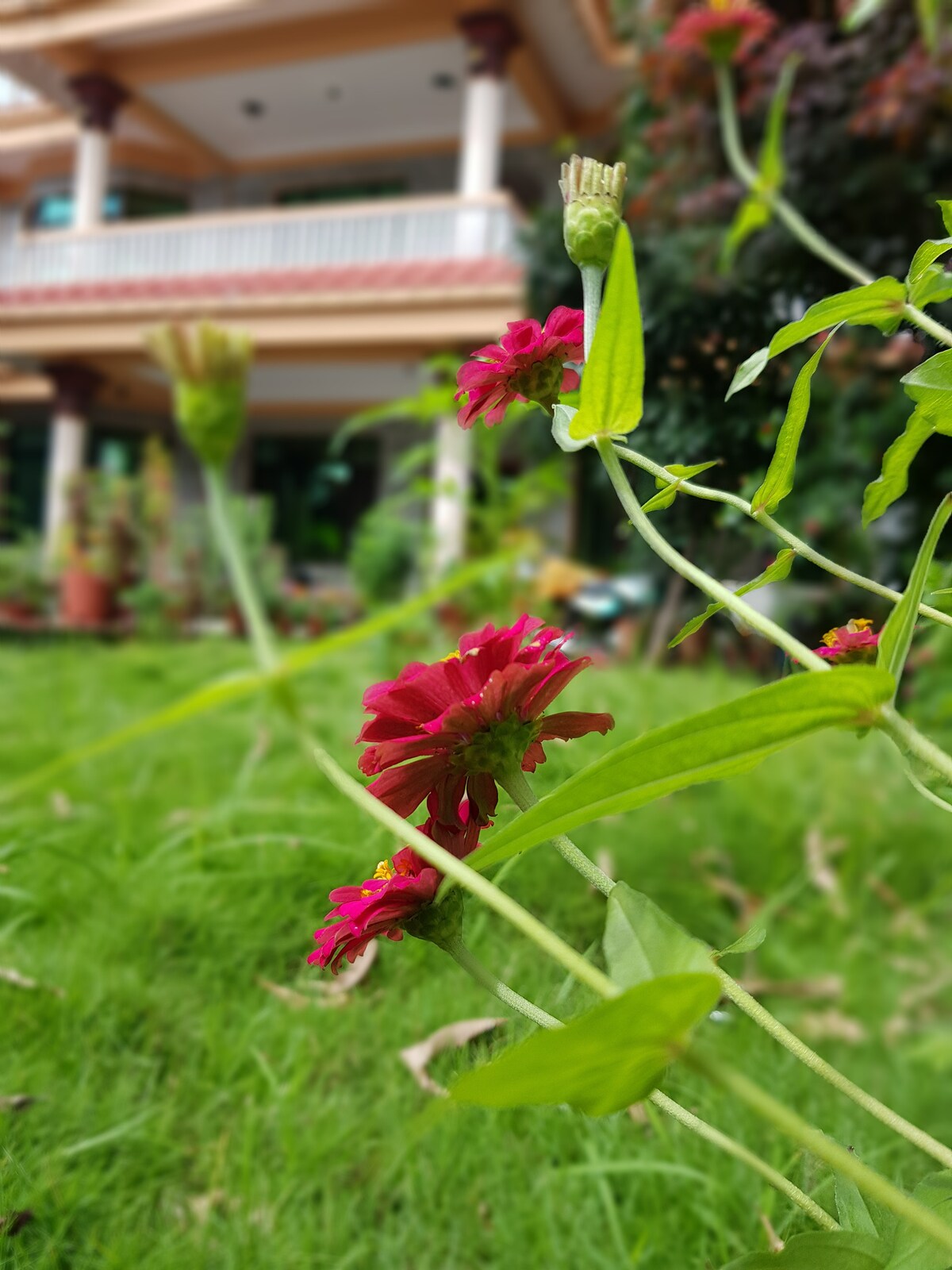 Luxurious & Spacious Bedroom at Hotel Diplomat — photo