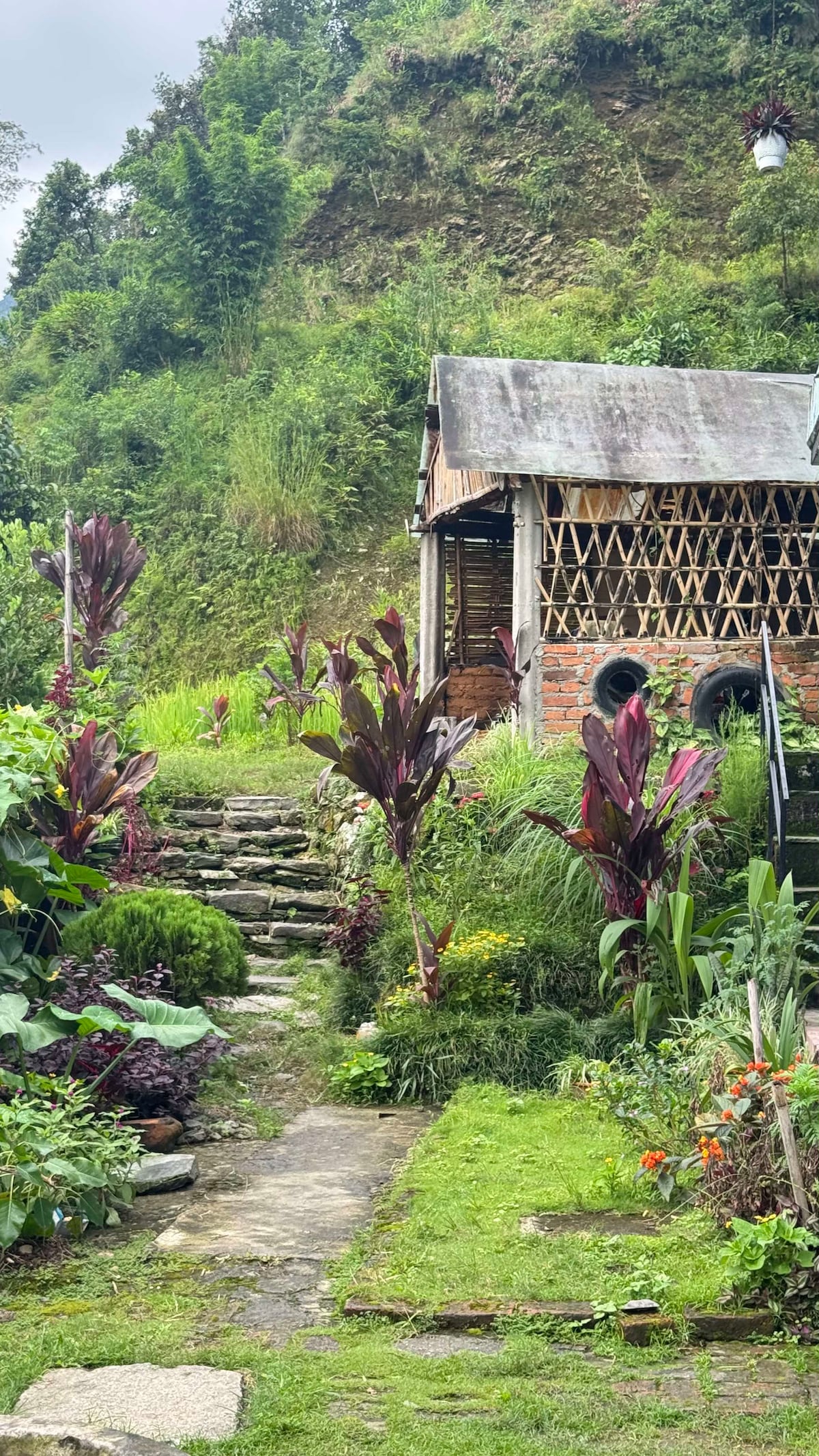 Mantra Mountain Organic Homestay — photo