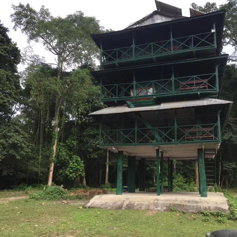 Comfort Rooms in Sauraha, Chitwan National Park