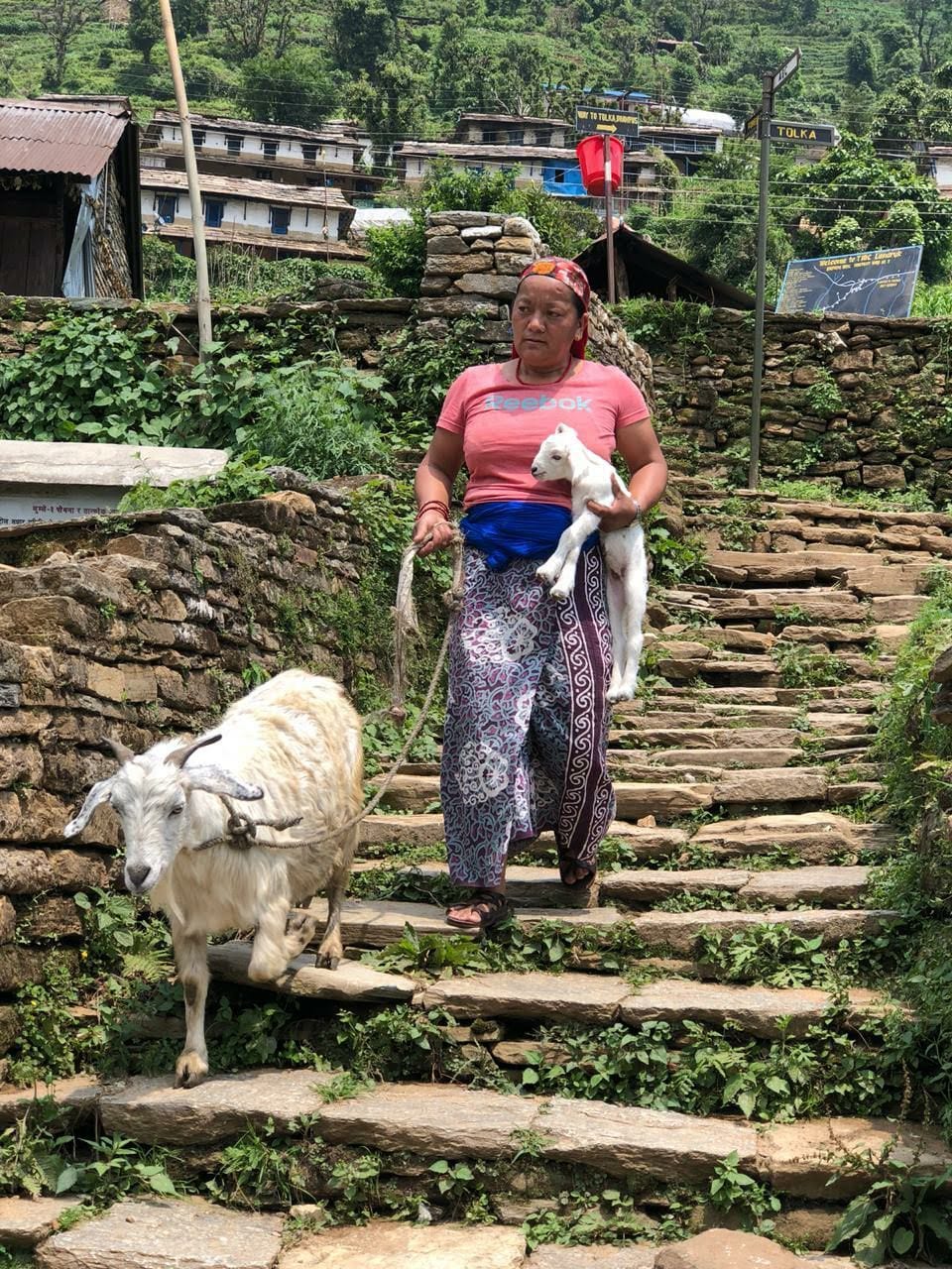 Cultural experience; farm stay — photo