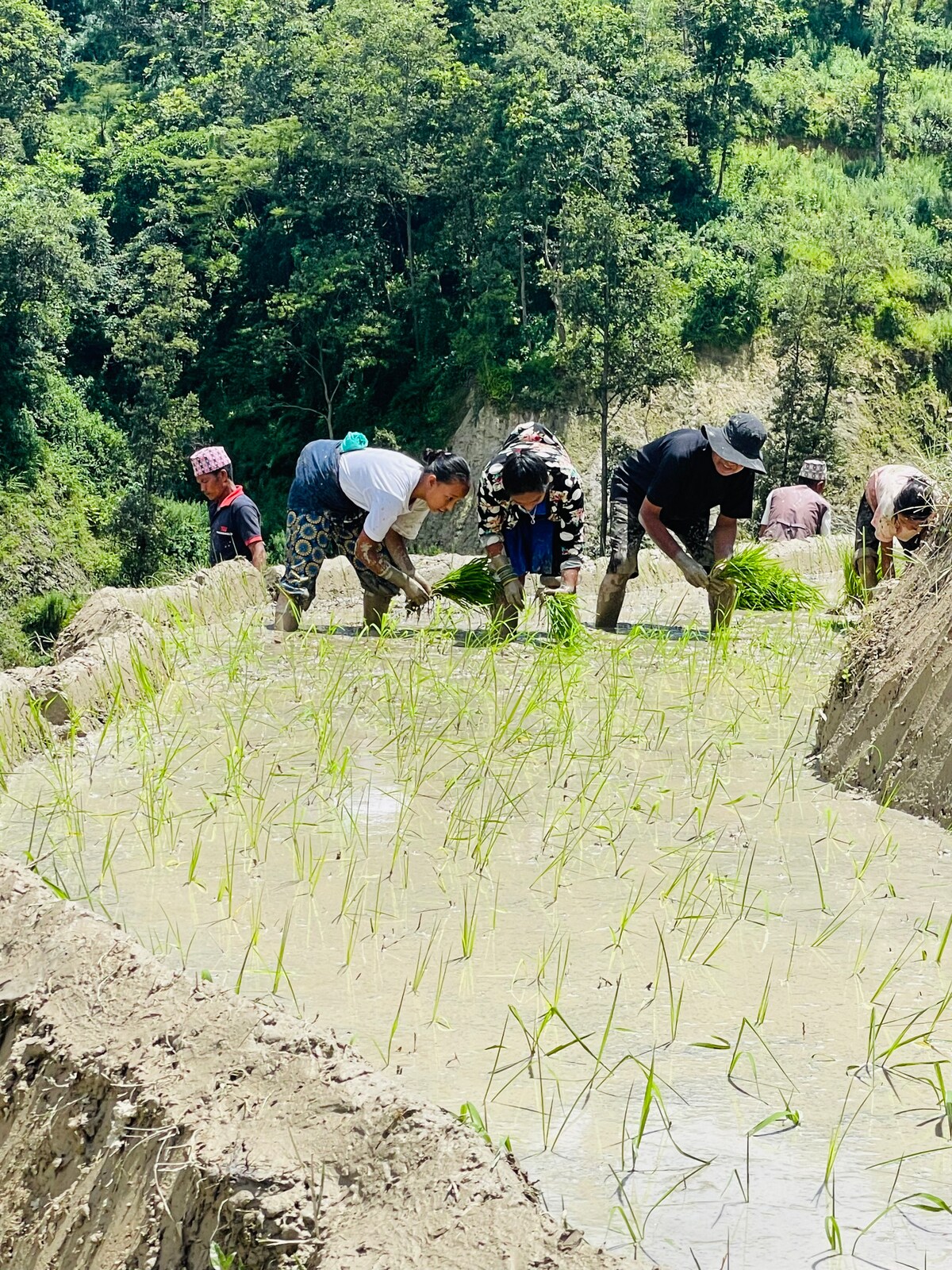 Maha Meru Nature Refuge — photo
