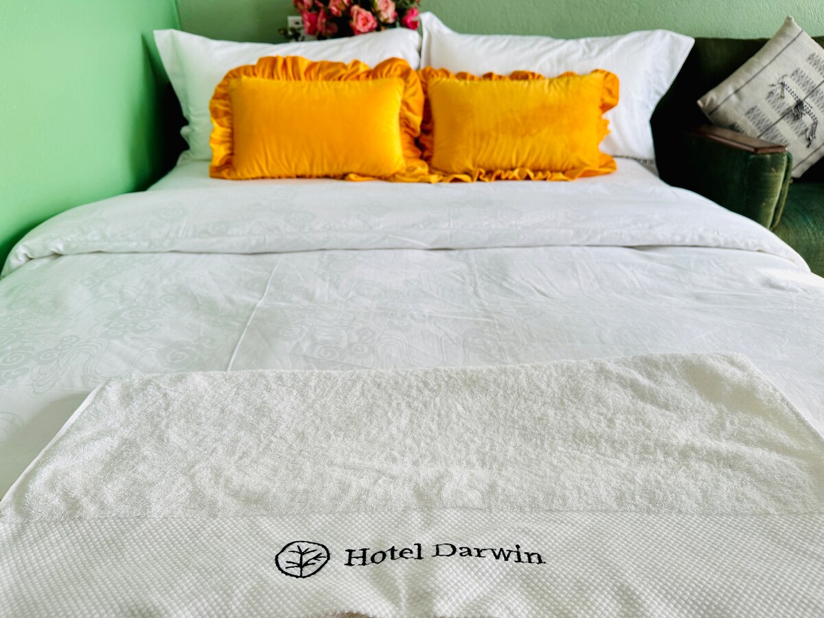 Hotel Darwin near thamel family room rooftop — photo
