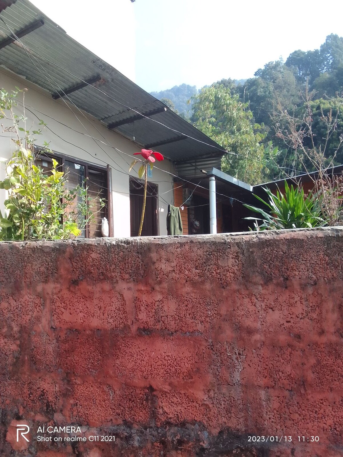 shepherd hut cottage — photo