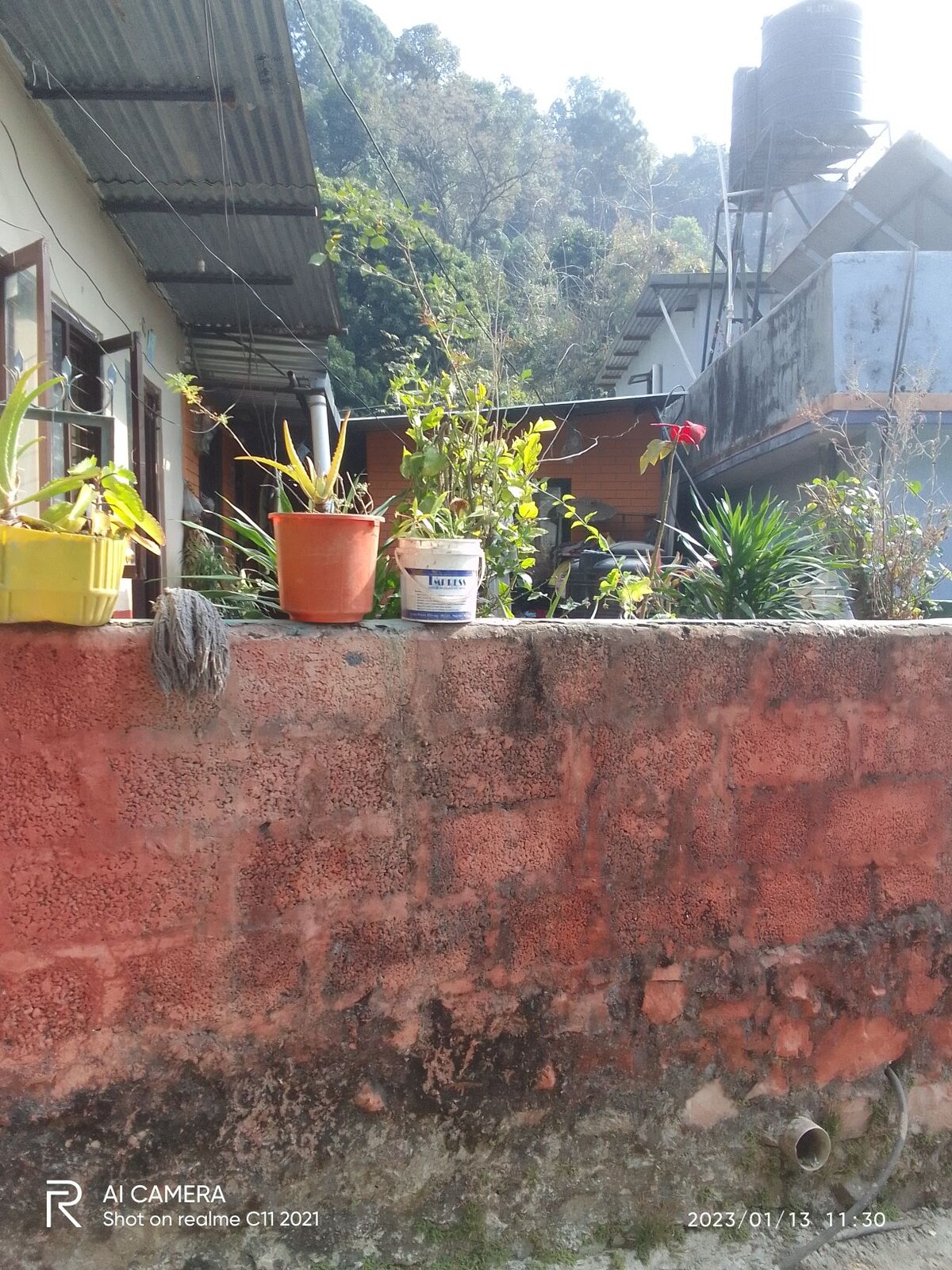 shepherd hut cottage — photo