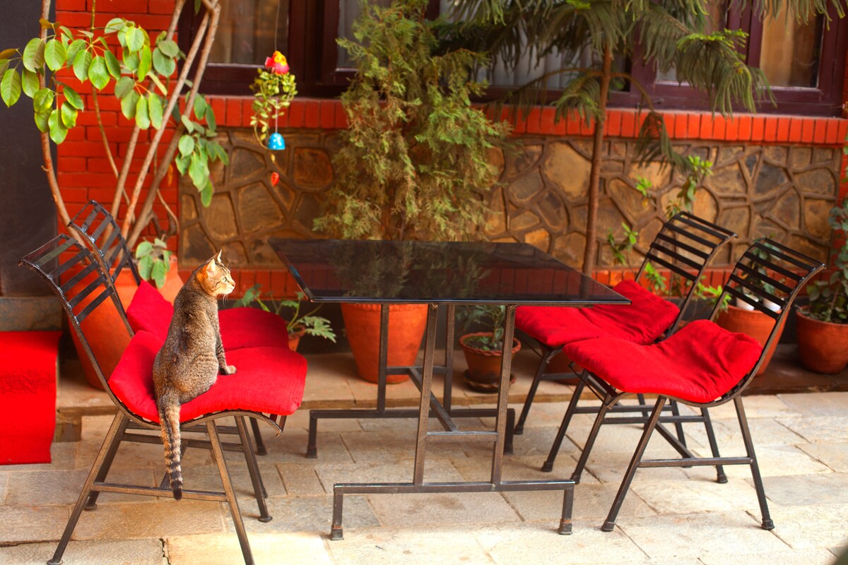 Royal Atlantic Home — photo