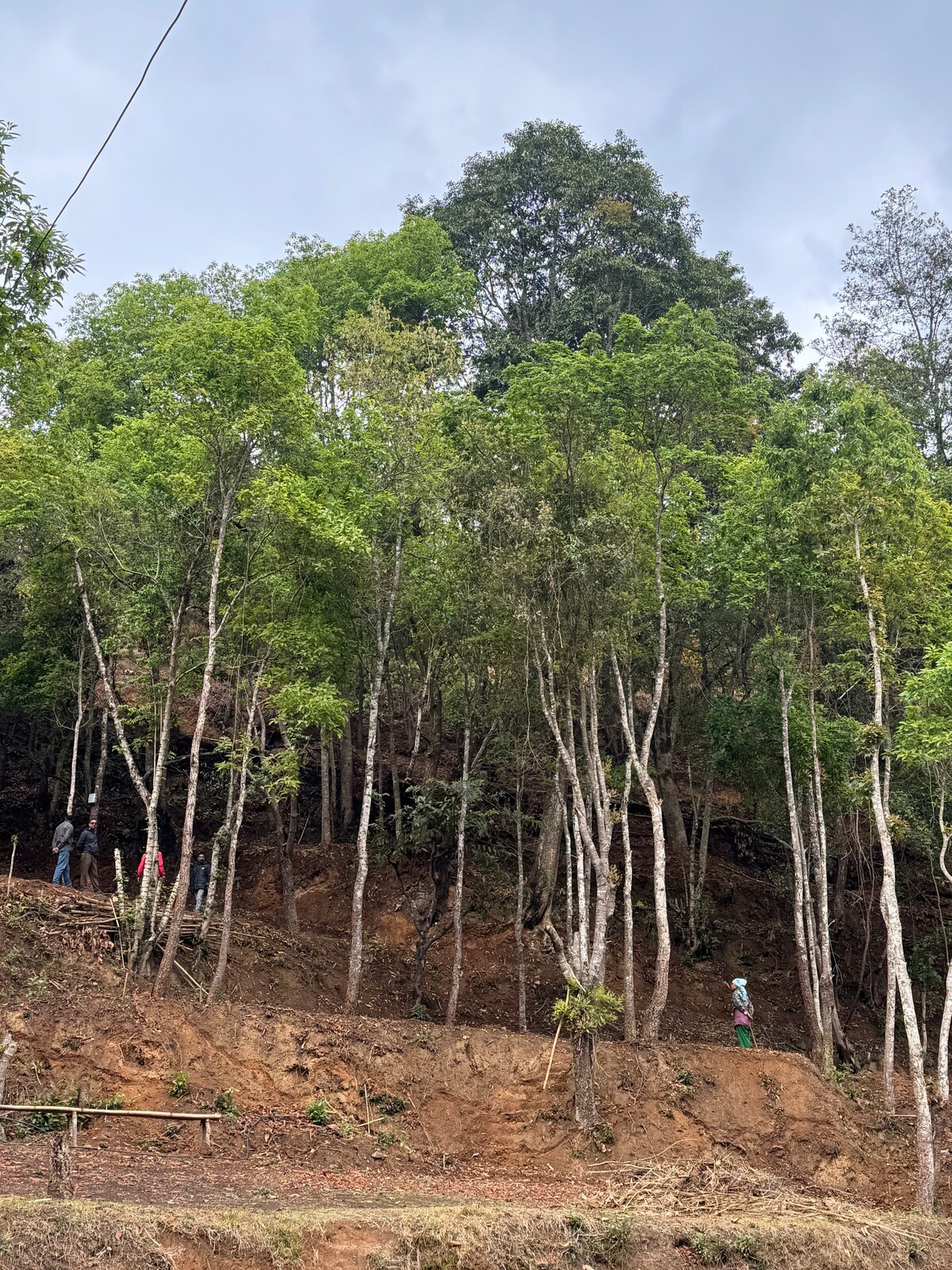 Gairigaun Eco (hiking&camping) — photo