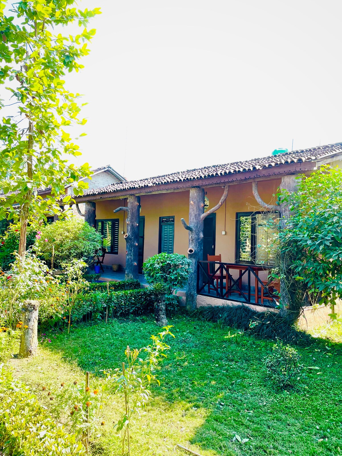 Travellers BnB — photo