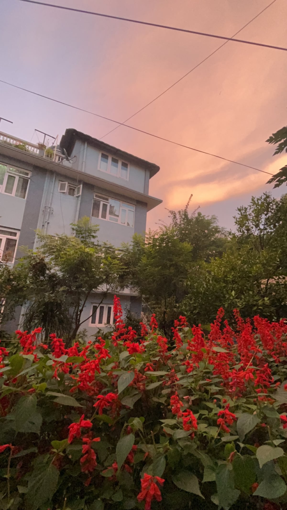 Quiet Cozy Apartment near Airport |Family Friendly