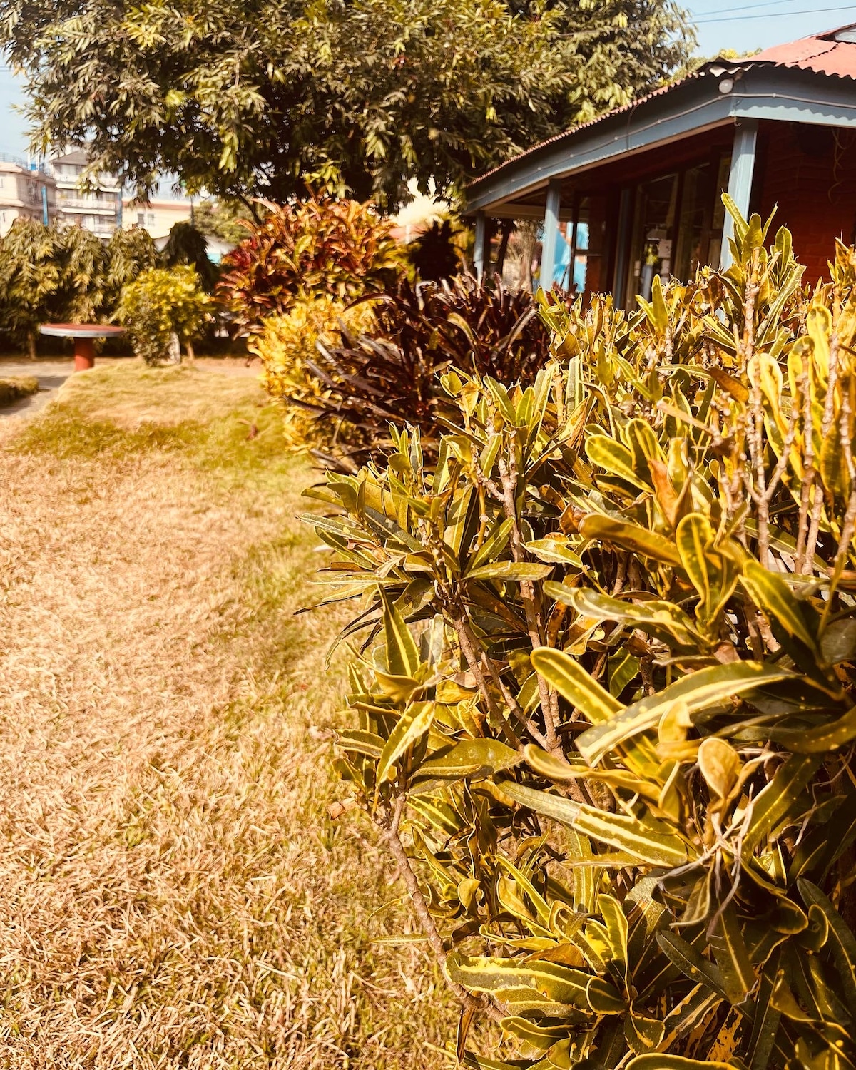 Deluxe room for 2 with attached bath and wifi — photo