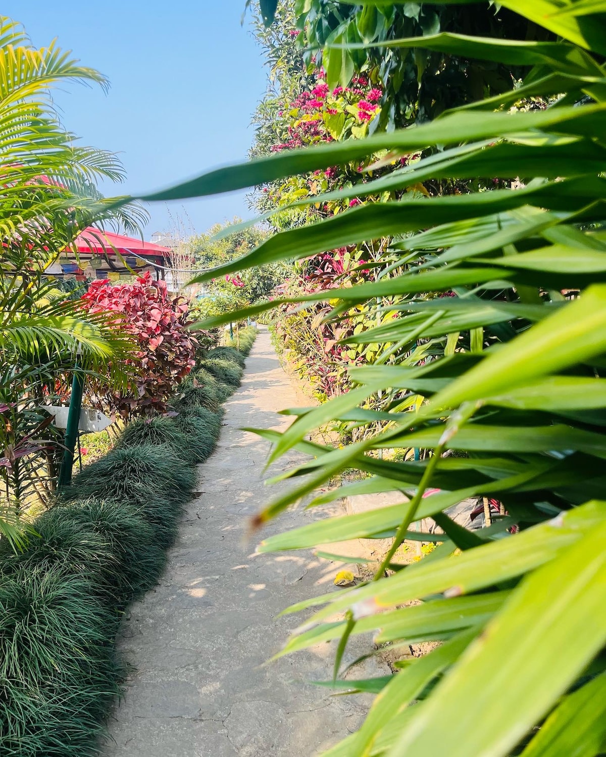 Deluxe room for 2 with attached bath and wifi — photo