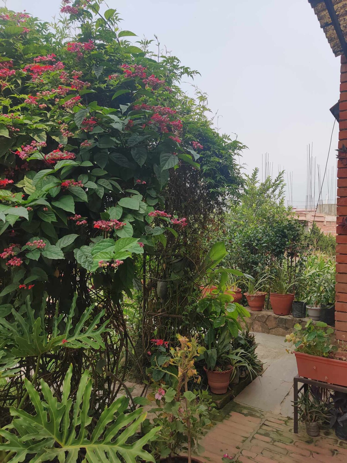 Cozy and comfy home — photo