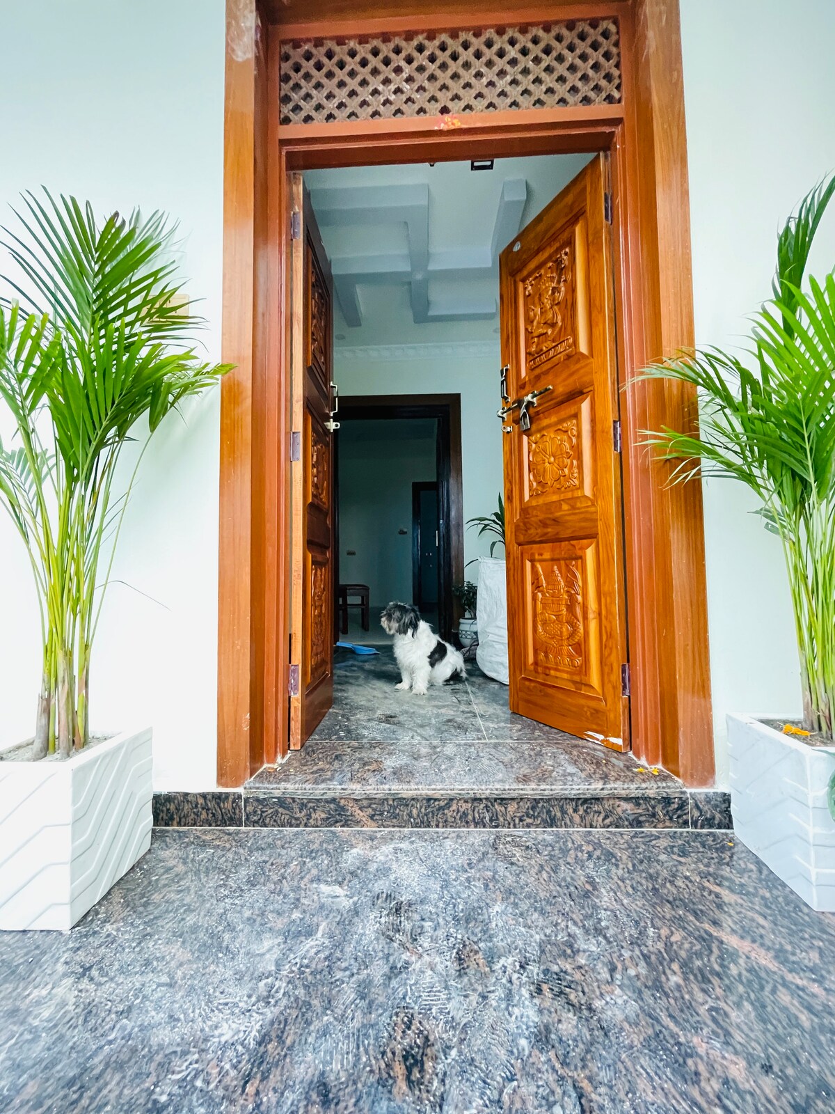 Alon’s House Near Boudha