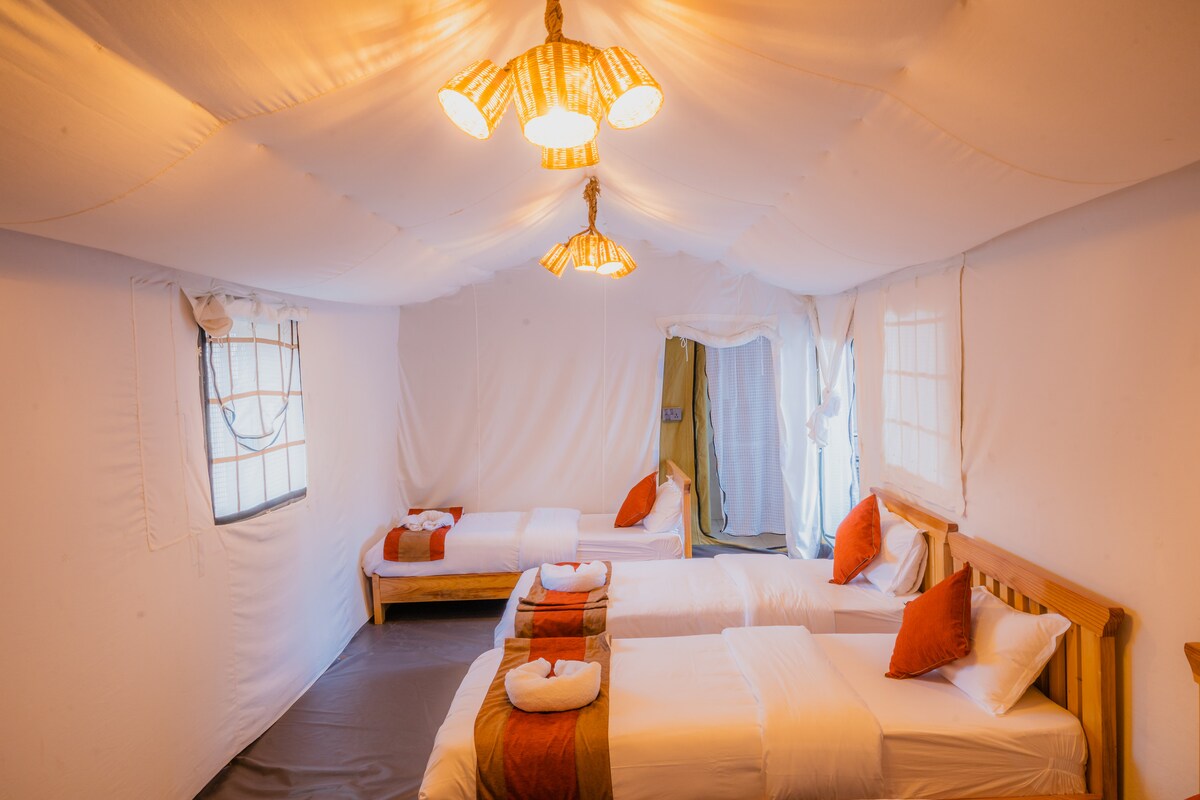 Family Suite — photo