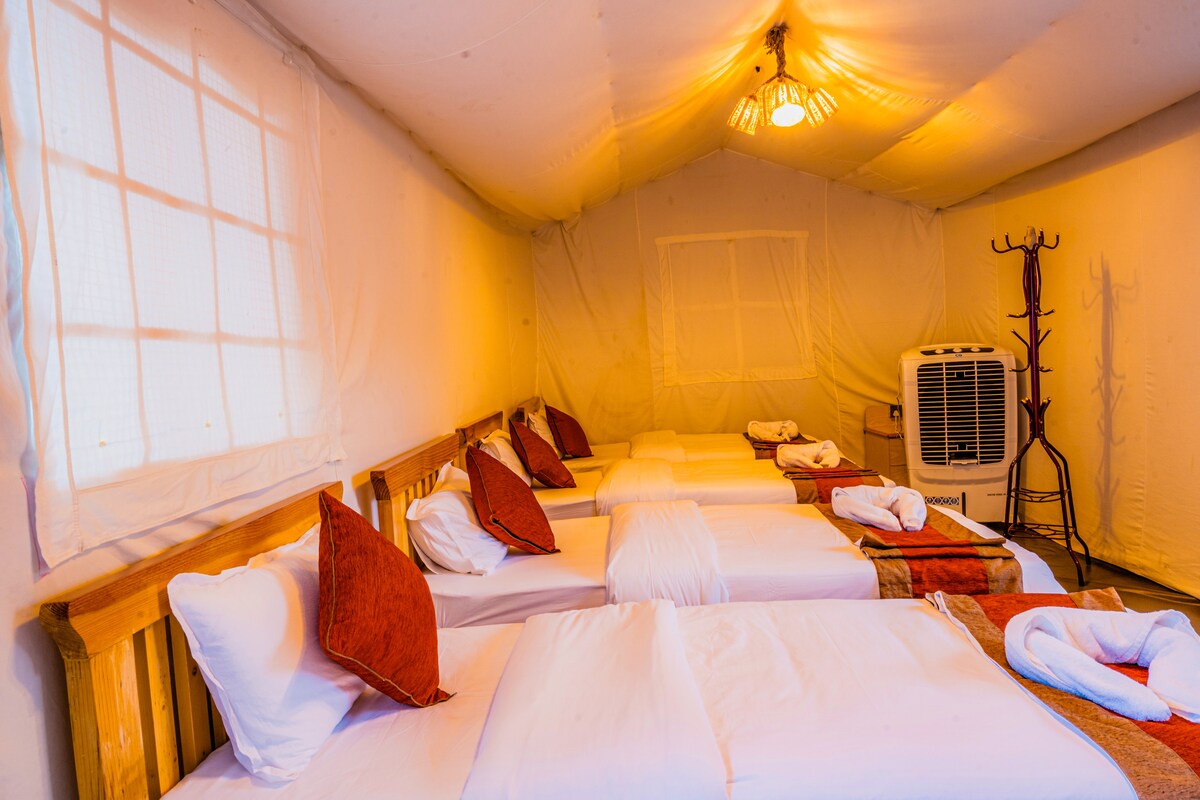 Family Suite — photo