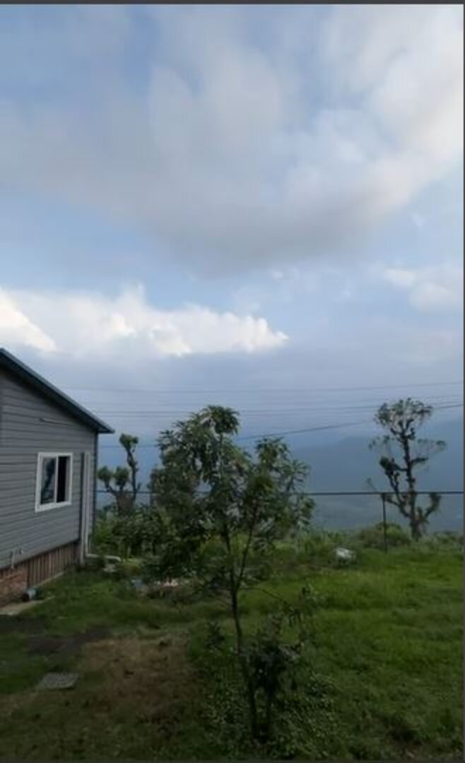 House of Joy — photo