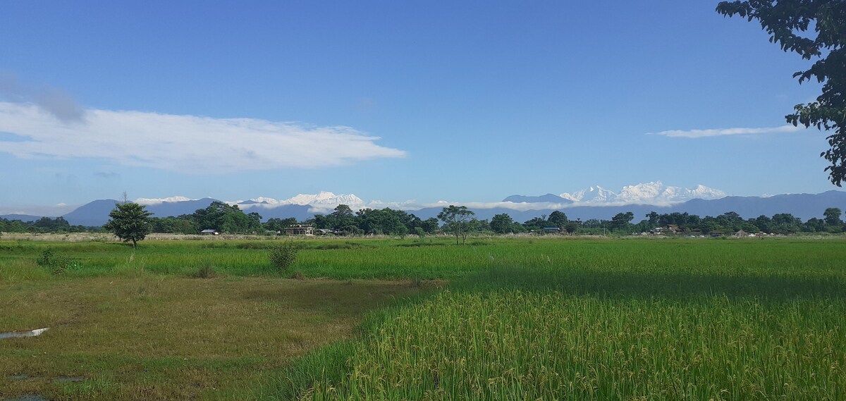 Tara guesthouse — photo