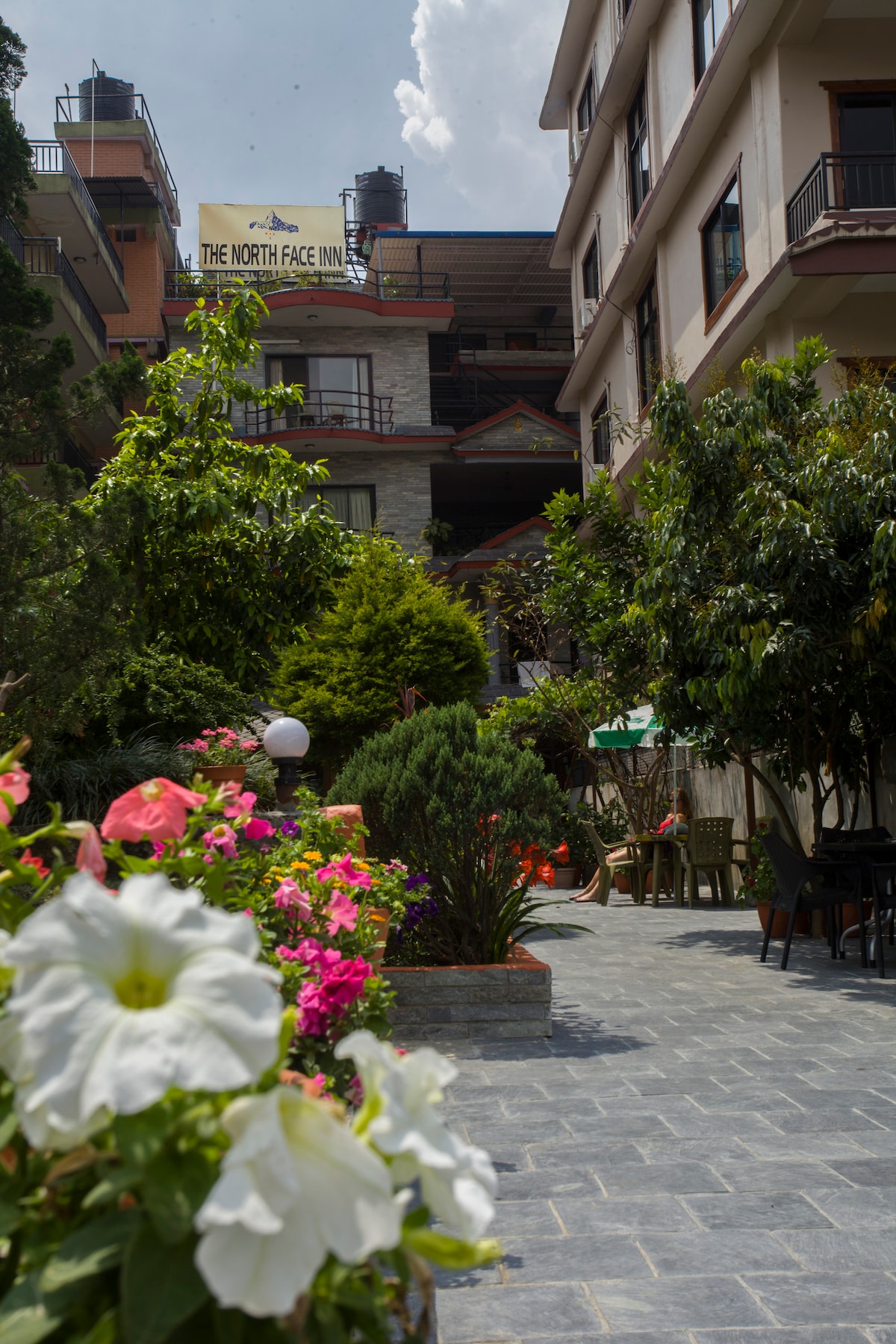 Terrace room — photo