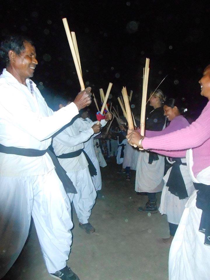 chital lodge and wildlife camp — photo