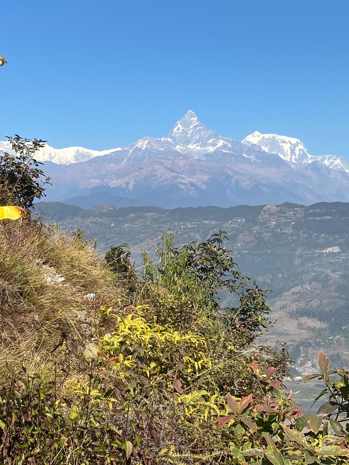 Tranquility Inn — photo