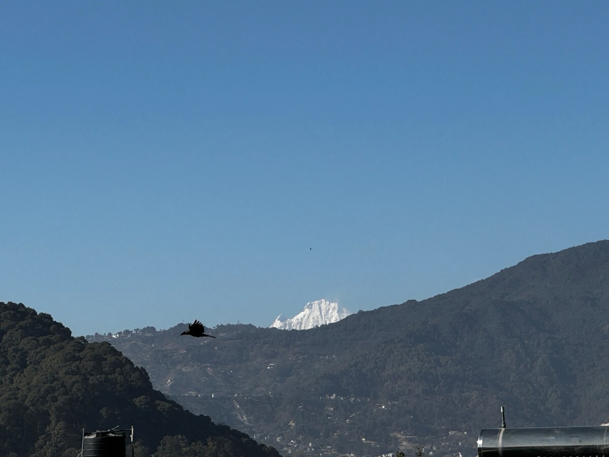 Deluxe Room with Mountain View