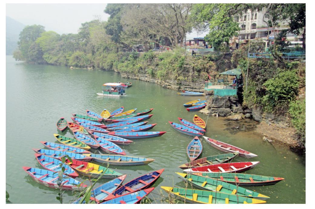 Miteri Sai Homestay — photo