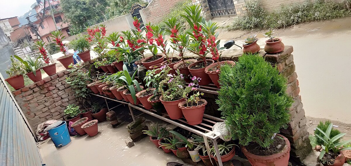 Thapa heritage(12$bed&breakfast) — photo