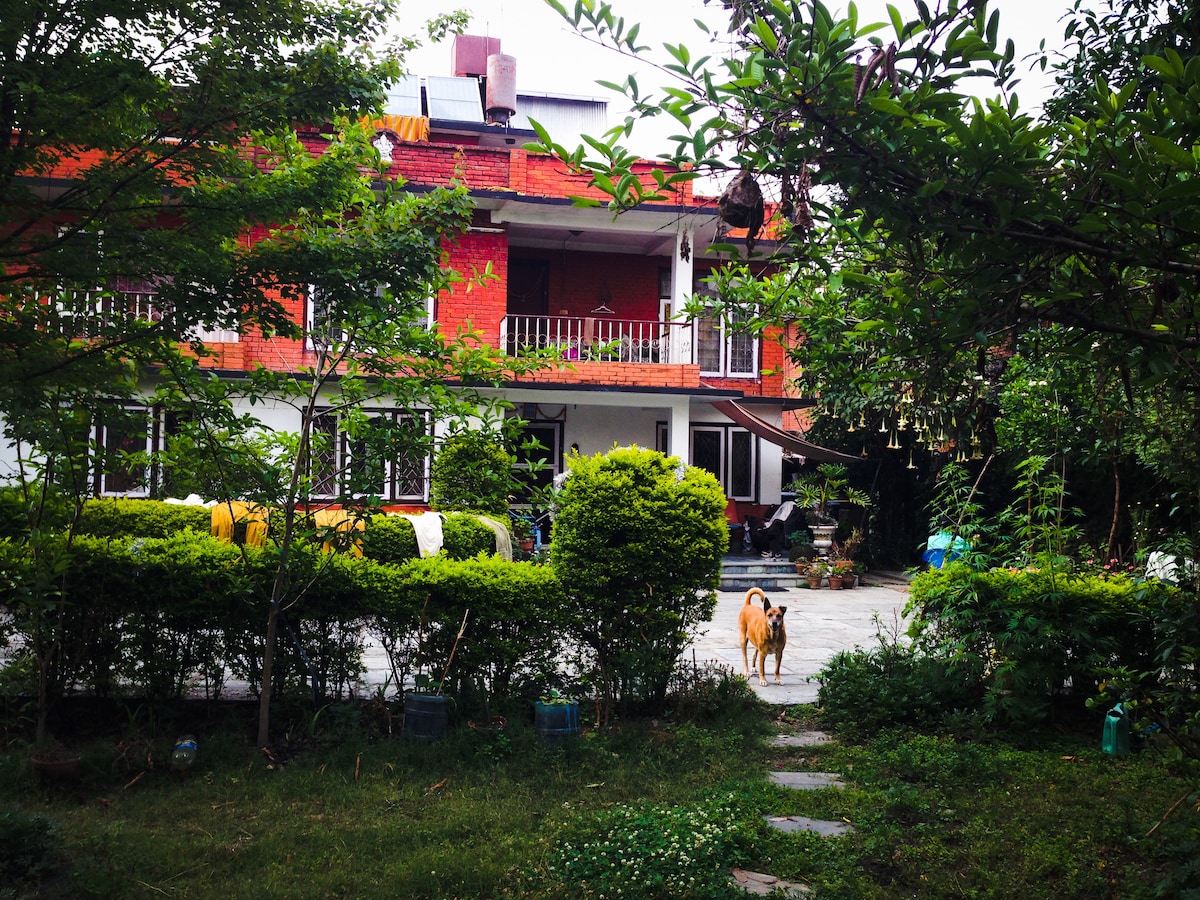 House with garden, trees n Flowers
