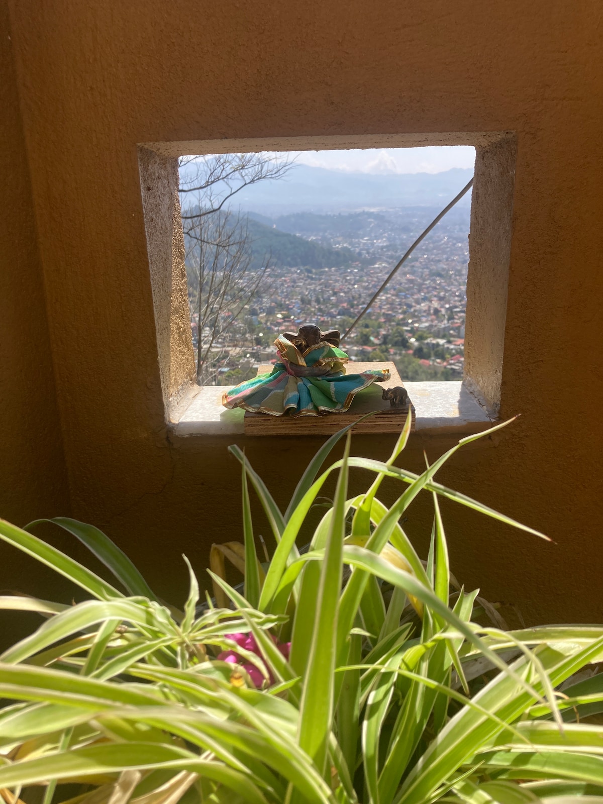 Views, Clean Air & Waffles — photo