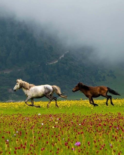 Pokhara: Dhorpatan 2-Day Jeep Tour with Guide in Beni