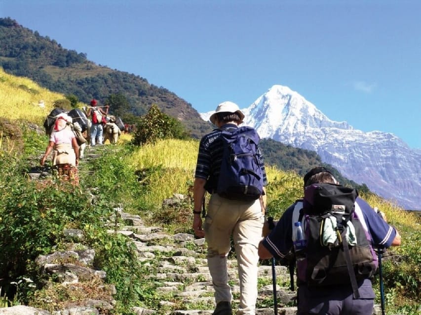 Pokhara: Annapurna Day Hike with Panoramic Views in Bharatpur