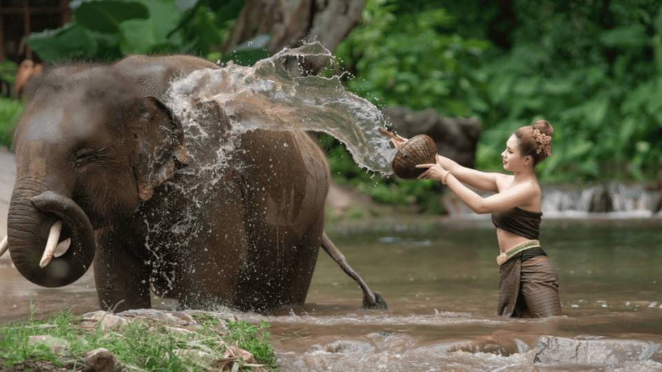 3-Day Chitwan Jungle Safari Adventure From Kathmandu/Pokhara