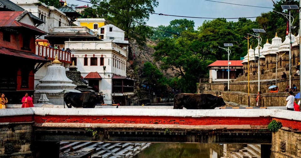Kathmandu Private Cultural And Heritage Day Tour in Swayambhu